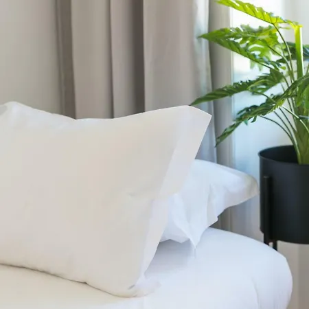 Apartamento Casa Da Rua Taipas